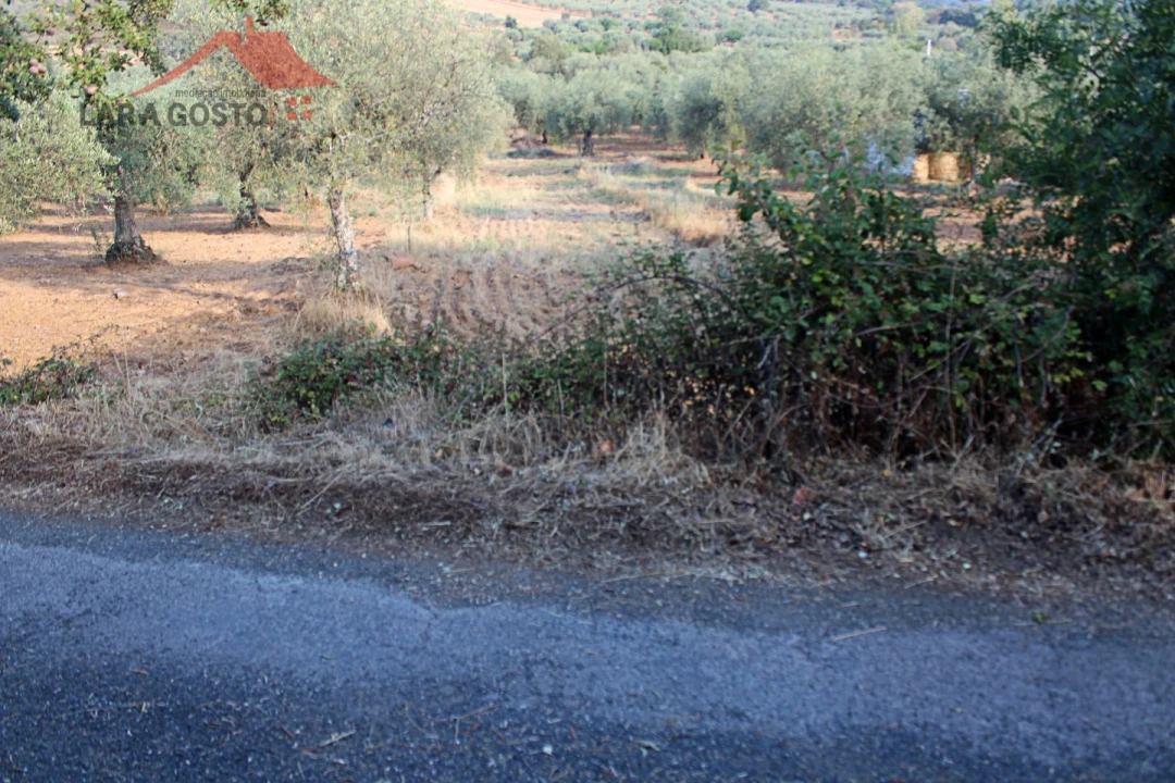 Terreno para Venda em Macedo de Cavaleiros Foto 5