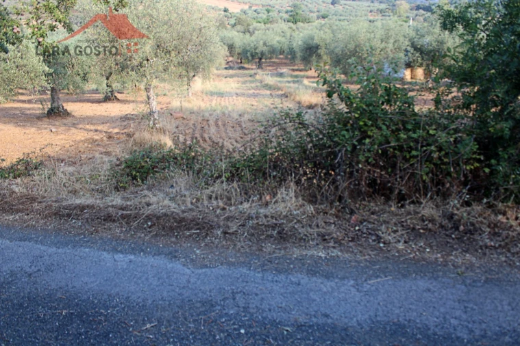 Terreno para Venda em Macedo de Cavaleiros Foto 5