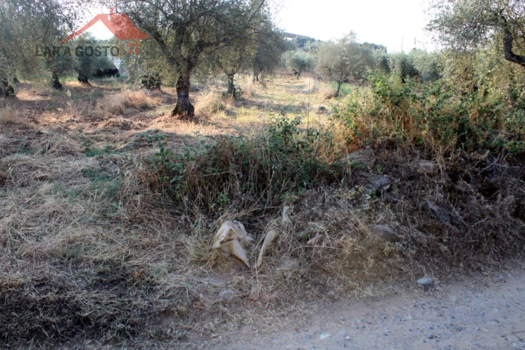 Terreno para Venda em Macedo de Cavaleiros Foto 6