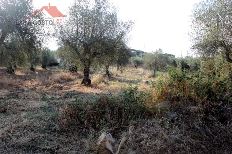 Terreno para Venda em Macedo de Cavaleiros Foto 7
