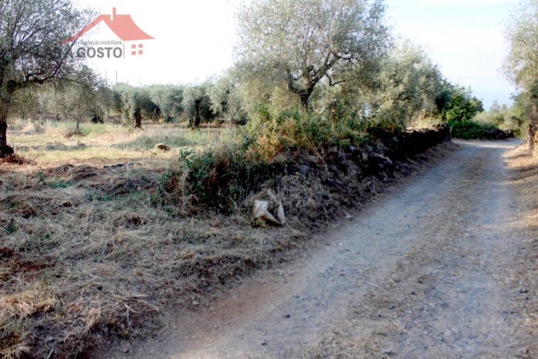 Terreno para Venda em Macedo de Cavaleiros Foto 8