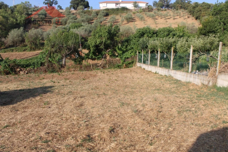 Terreno para Venda em Macedo de Cavaleiros Foto 4