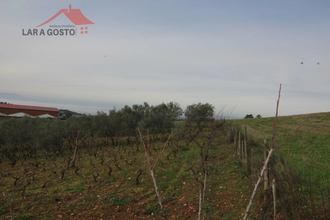 Terreno para Venda em Sezulfe Foto 6