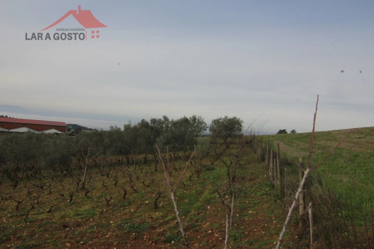 Terreno para Venda em Sezulfe Foto 6