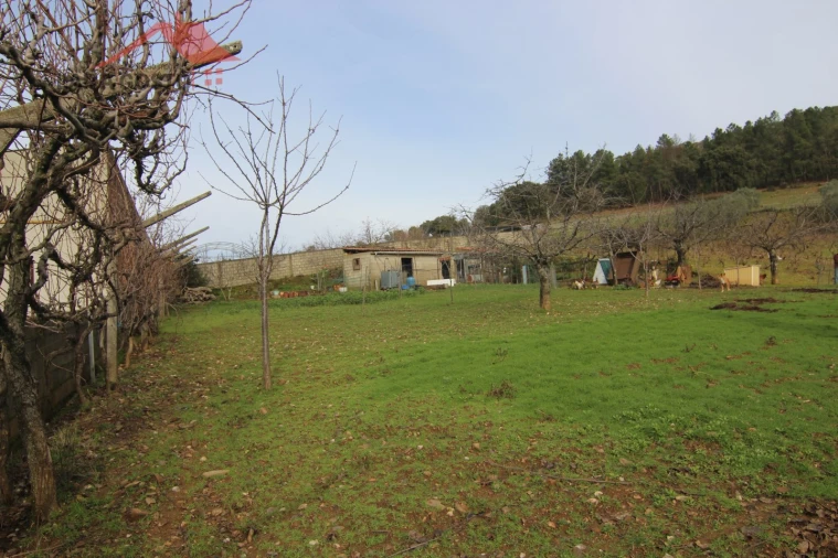 Terreno para Venda em Sezulfe Foto 11