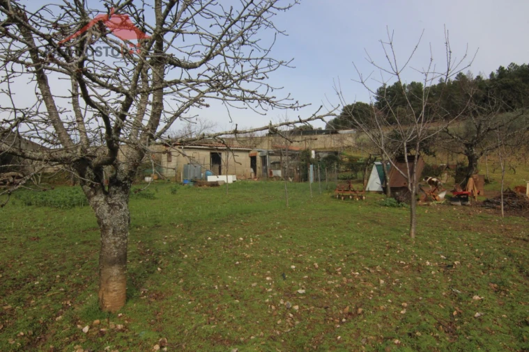 Terreno para Venda em Sezulfe Foto 12