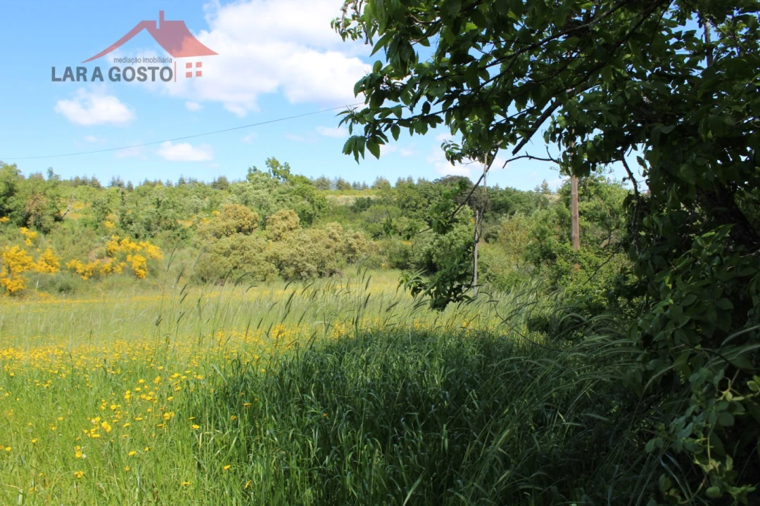 Terreno para Venda em Vale de Prados Foto 5