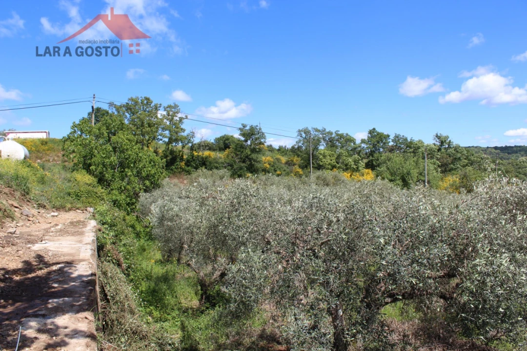 Terreno para Venda em Vale de Prados Foto 11