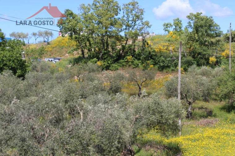 Terreno para Venda em Vale de Prados Foto 10