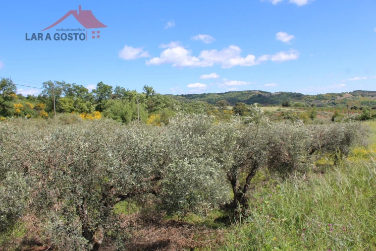 Terreno para Venda em Vale de Prados Foto 12