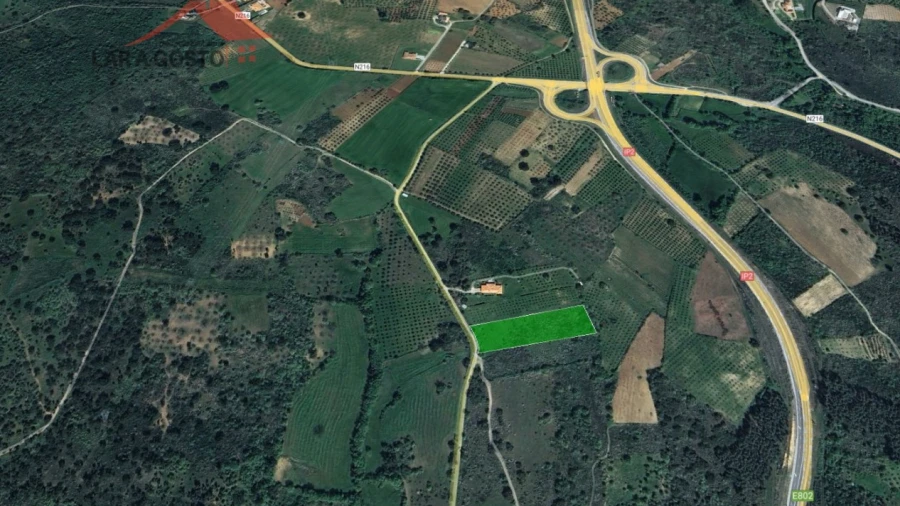 Terreno para Venda em Amendoeira