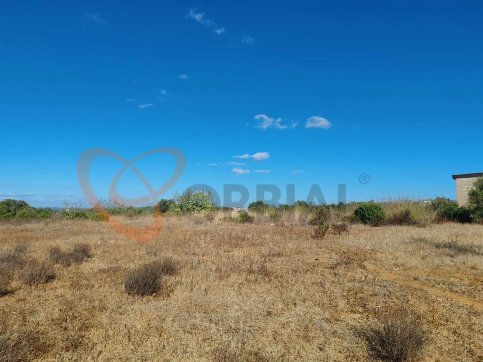 Terreno para Venda em Alcantarilha e Pêra Foto 6