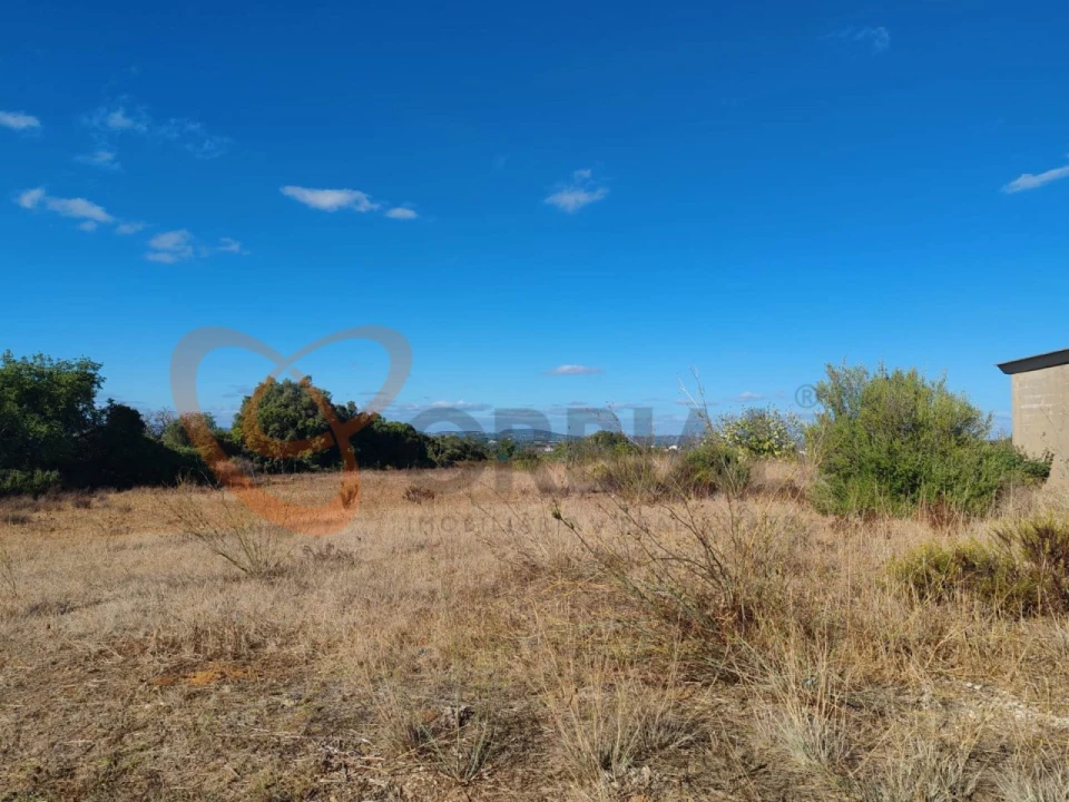 Terreno para Venda em Alcantarilha e Pêra Foto 7