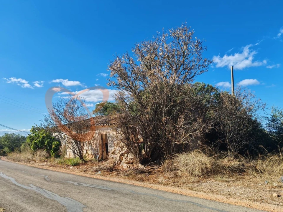 Terreno para Venda em Alcantarilha e Pêra Foto 1