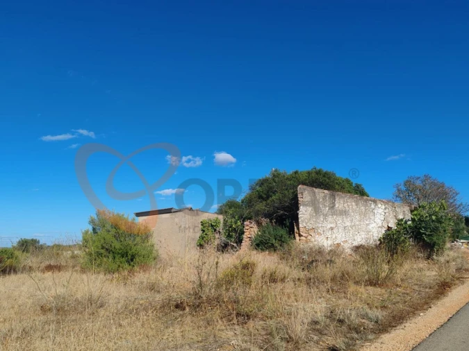 Terreno para Venda em Alcantarilha e Pêra Foto 3