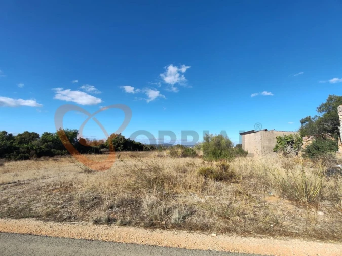 Terreno para Venda em Alcantarilha e Pêra Foto 5