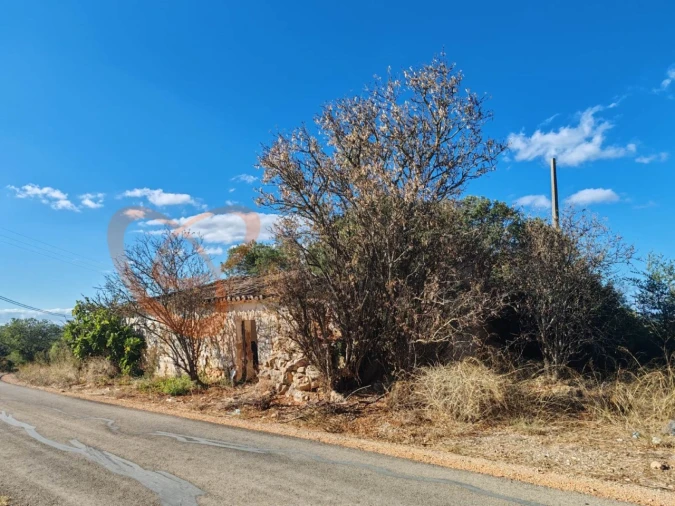 Terreno para Venda em Alcantarilha e Pêra Foto 1