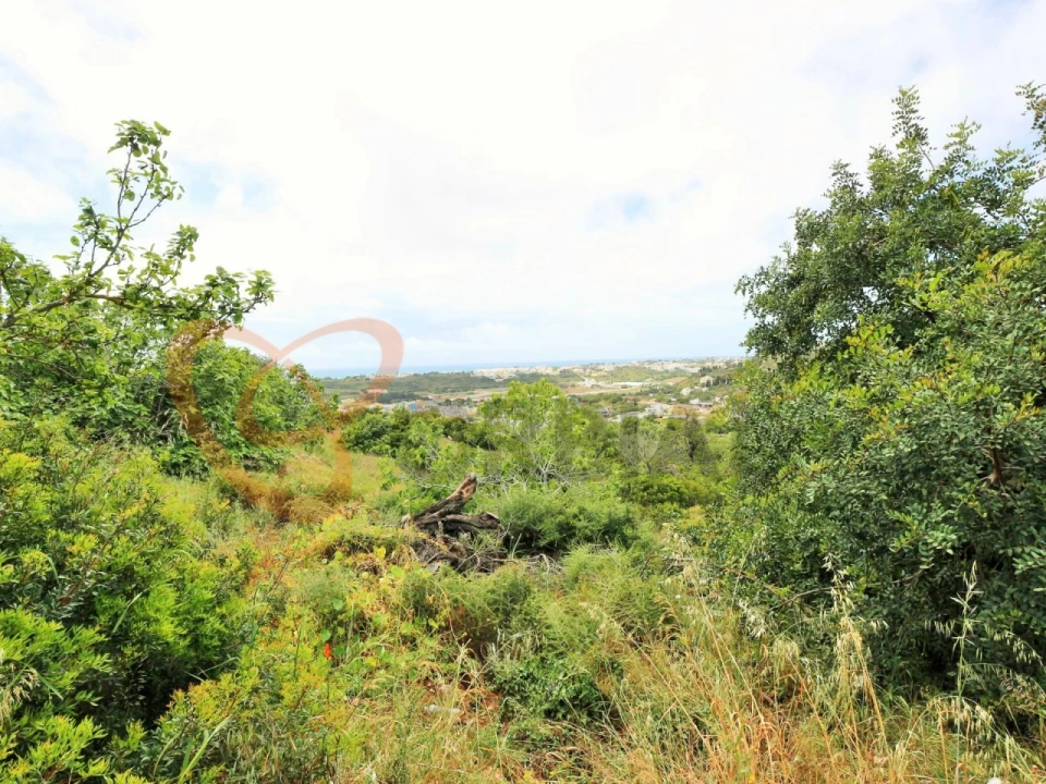 Terreno para Venda em Albufeira e Olhos de Água Foto 2