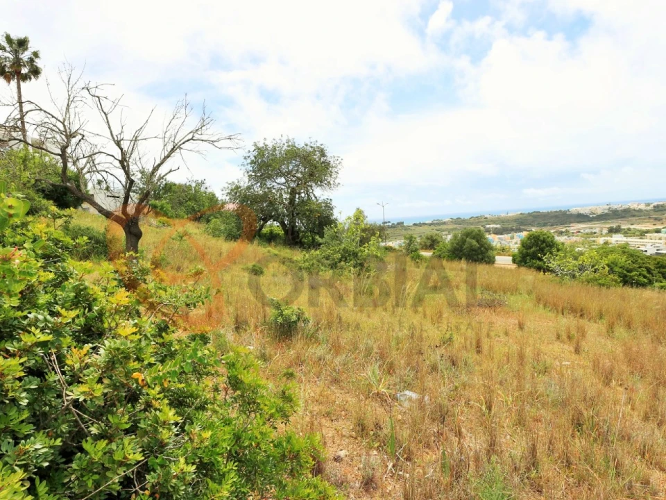 Terreno para Venda em Albufeira e Olhos de Água Foto 6