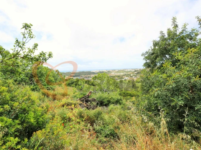 Terreno para Venda em Albufeira e Olhos de Água Foto 2