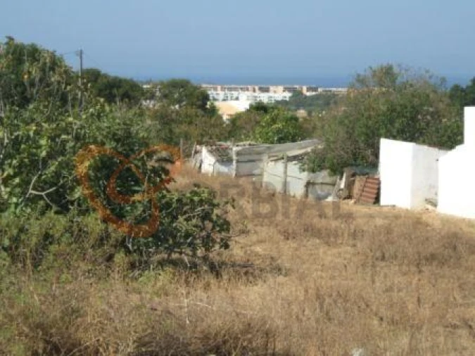 Terreno para Venda em Guia Foto 4