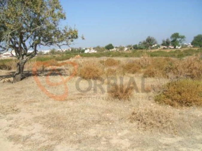 Terreno para Venda em Guia Foto 5