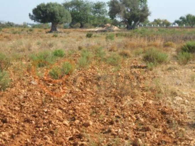 Terreno para Venda em Guia Foto 7
