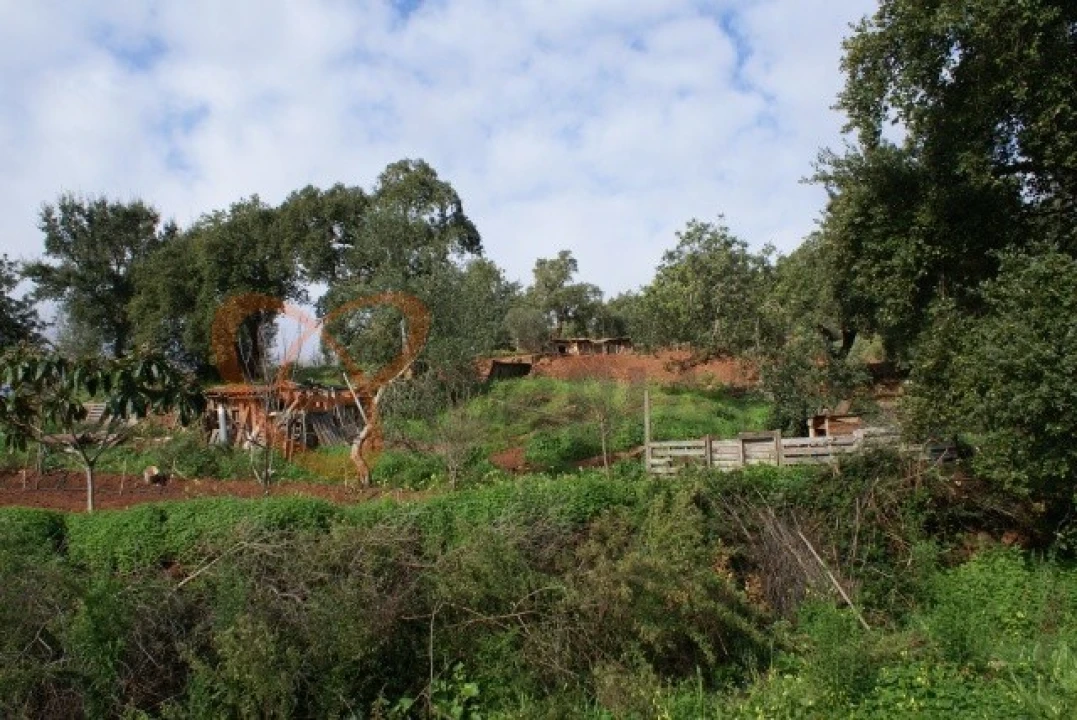 Terreno para Venda em São Bartolomeu de Messines Foto 2
