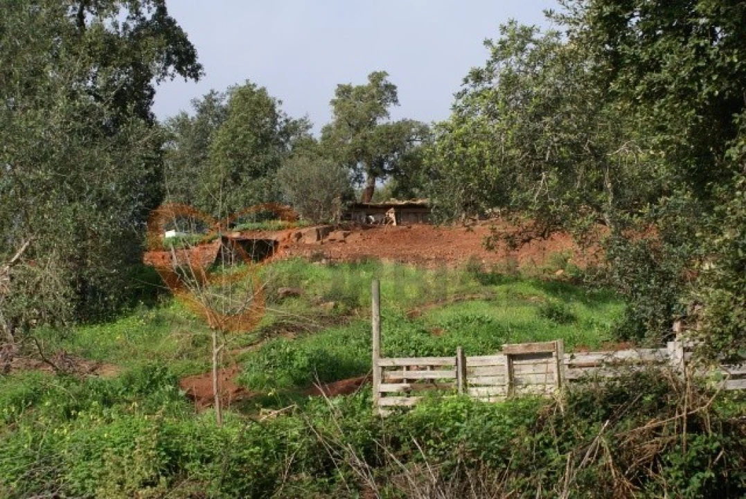 Terreno para Venda em São Bartolomeu de Messines Foto 3
