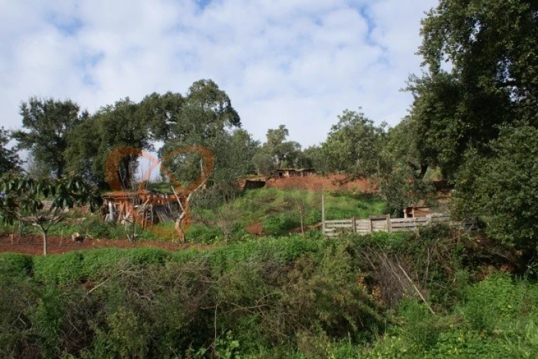 Terreno para Venda em São Bartolomeu de Messines Foto 2