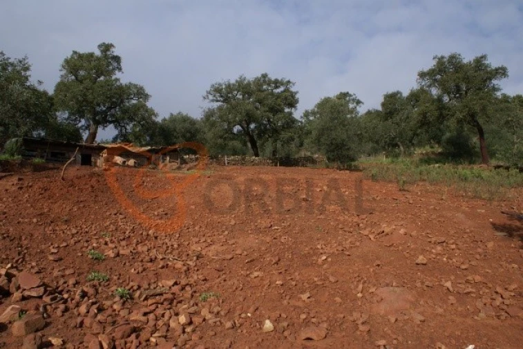 Terreno para Venda em São Bartolomeu de Messines Foto 6