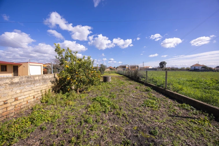 Terreno para Venda em Murtosa Foto 6
