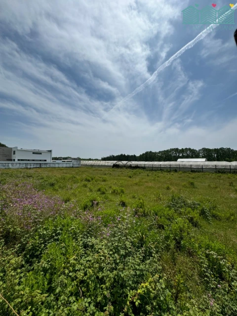 Terreno para Venda em Vagos e Santo António