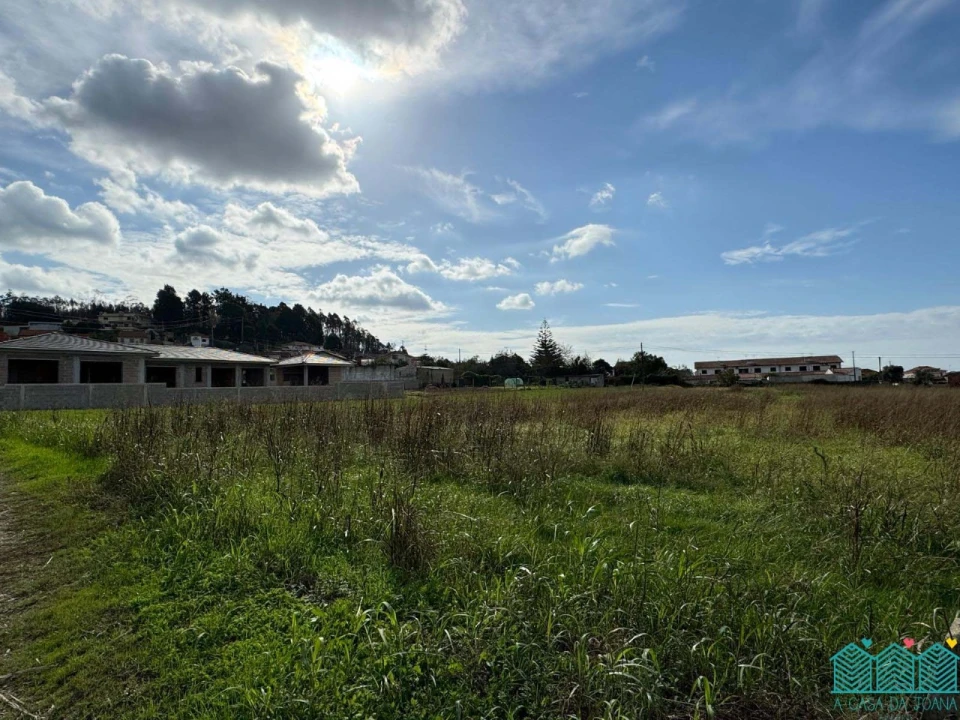 Terreno para Venda em Branca Foto 6