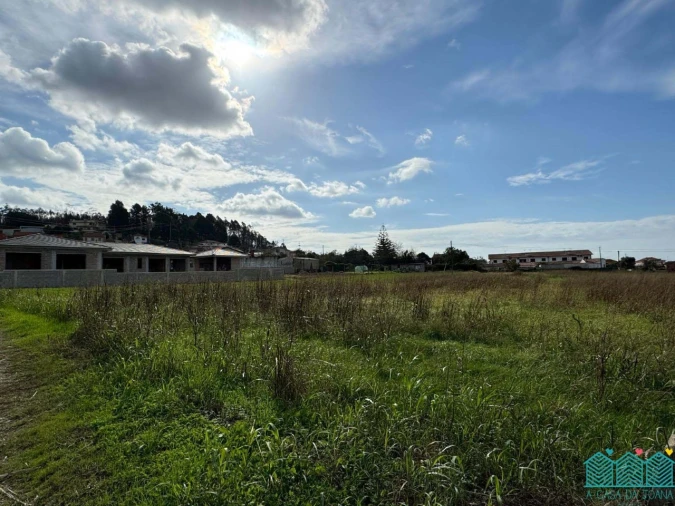 Terreno para Venda em Branca Foto 6