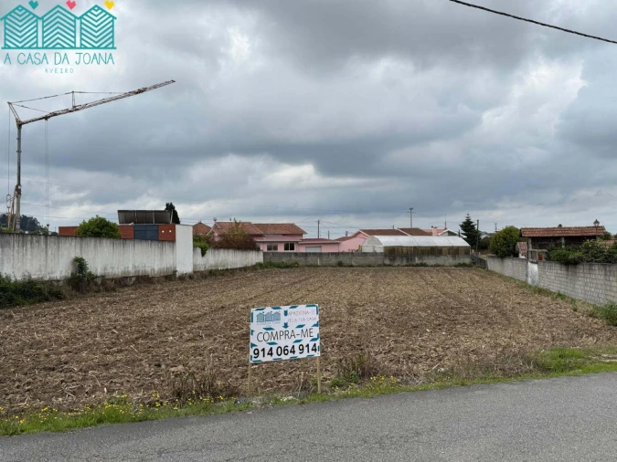 Terreno para Venda em Branca Foto 1