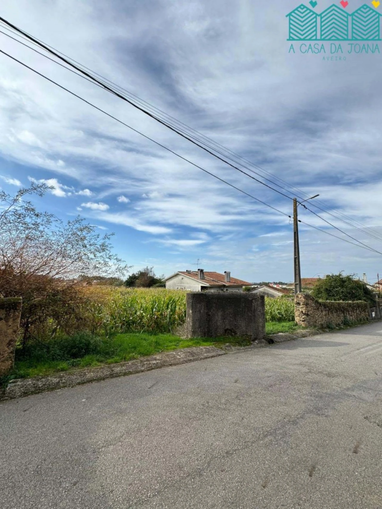 Terreno para Venda em Branca Foto 2