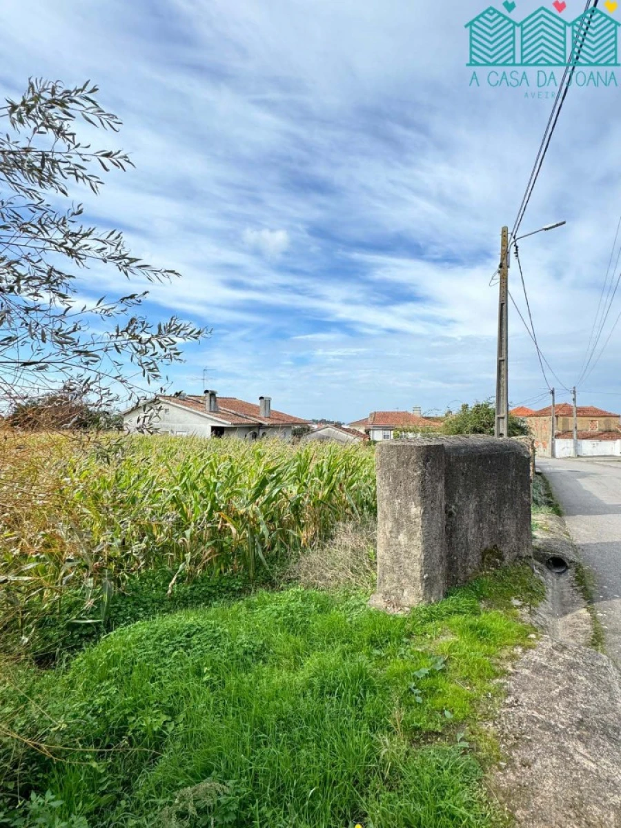 Terreno para Venda em Branca Foto 7