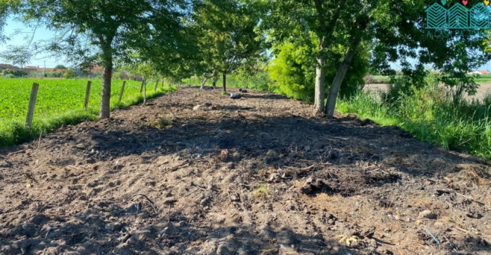 Terreno para Venda em Bunheiro Foto 3