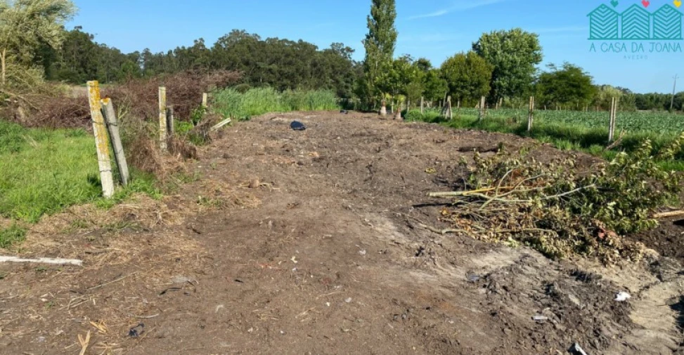 Terreno para Venda em Bunheiro Foto 4