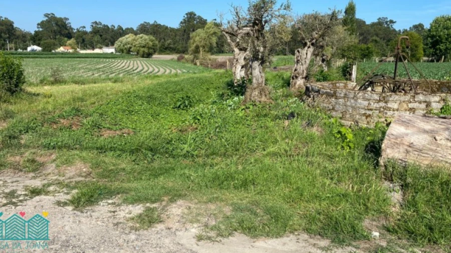 Terreno para Venda em Bunheiro