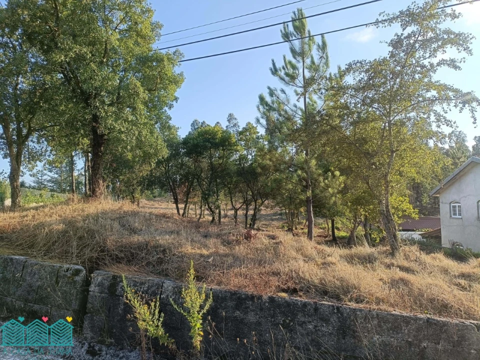 Terreno para Venda em Recardães e Espinhel Foto 7