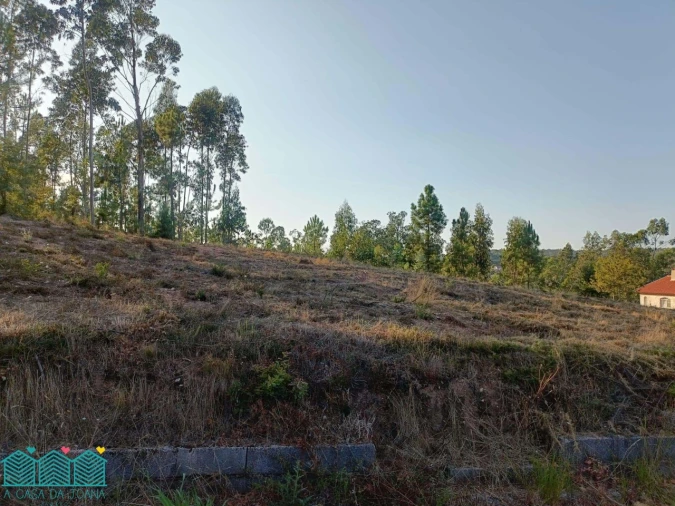 Terreno para Venda em Recardães e Espinhel Foto 2