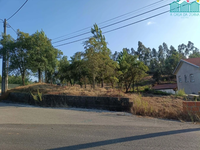 Terreno para Venda em Recardães e Espinhel Foto 6