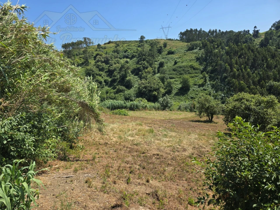 Terreno para Venda em Maxial e Monte Redondo Foto 3