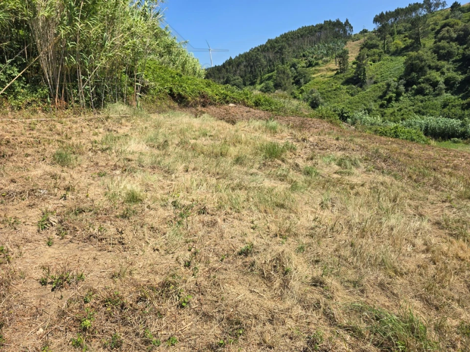 Terreno para Venda em Maxial e Monte Redondo Foto 7