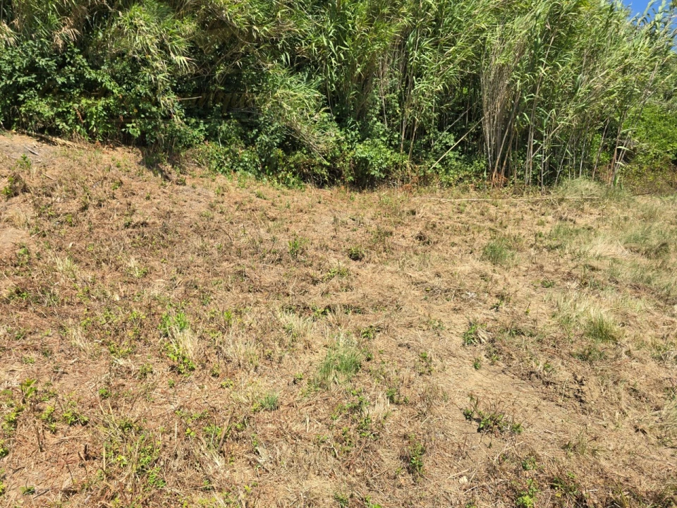 Terreno para Venda em Maxial e Monte Redondo Foto 8