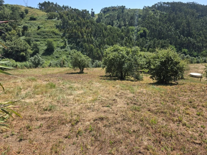 Terreno para Venda em Maxial e Monte Redondo Foto 1