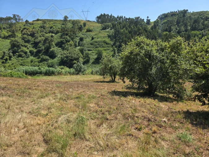 Terreno para Venda em Maxial e Monte Redondo Foto 9