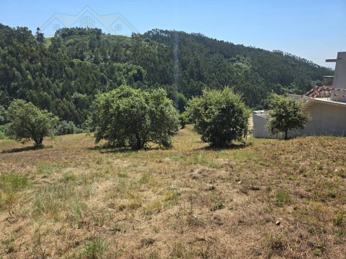 Terreno para Venda em Maxial e Monte Redondo Foto 12